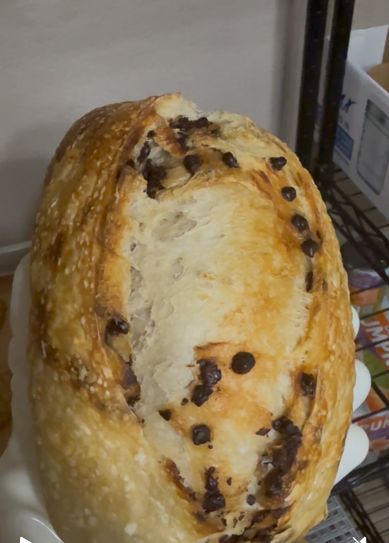 Prairie Sweet Chocolate Chip