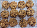 Trail Hand Oatmeal Raisin